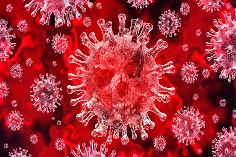 Il Coronavirus